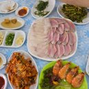 강화도 연백호 밴댕이회 후기 처음 먹어본 반반코스 솔직 리뷰