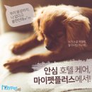 커머스 <b>마이펫</b><b>플러스</b>] 안심 호텔 케어, <b>마이펫</b><b>플러스</b>에서!