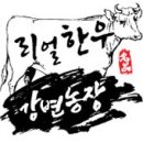 리얼한우정육점