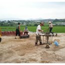 피그빌 1 이미지