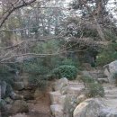 자연석식물원