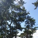 만성리해수욕장(자갈밭) | [방죽포 해수욕장]깨끗하고 경치좋은..아담해서 가족단위로 찾기 좋은 여수 해수욕장!