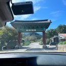 푸른숲캠핑장 이미지