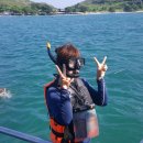 파타야 여행 산호섬투어 스노우쿨링과 해변즐기기(꼬란섬)