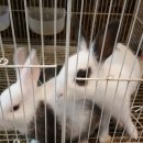 베스트피쉬 수족관 이미지