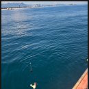 오케이낚시 이미지