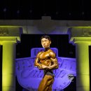 마스터 와이짐 이미지