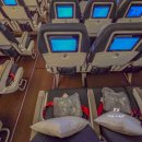 11305-12-3-39 | 쿠알라룸푸르 항공권 후기｜MH39 야간비행 새 좌석 솔직후기