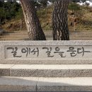 해파랑길 44코스 Daum카페