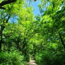 홍록배드민턴장 화장실 이미지