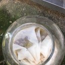에스엔바이오 후기 이벤트 통해서 커피 드세요 :)