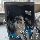 870 | 6개월차 15kg 보더콜리 아이리스켄넬 ATC-870 반품 후기