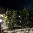 스테이 소그락 이미지