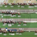 2008 Queen`s Silver Jubilee Cup(HK G1) Good Ba Ba 이미지