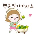 다인유통 이미지