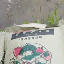 영광군농기계임대사업소 본소 | 논에 유기질 비료 뿌리기