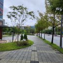 마성소국밥앤족발 관저점 | 관저동 마성소국밥 (내부 사진 有) 맛은 물론 착한 가격까지