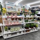 세븐일레븐(안양석수점) 이미지