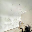 닥터포헤어 케어랩 강남 이미지