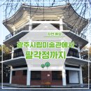 시립미술관(팔각정) 이미지