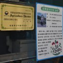 춘천시사북면지암보건진료소 | [강원 강소농의 힘 12] 생소하던 2003년부터 스마트팜 독학…샐러드박스용 친환경 엽채류로 승부수 띄운...