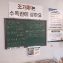 자애원 | 용인 셀프 바베큐장 당일치기로 좋은 연말모임 장소 묵리숲 후기