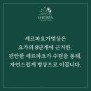 셰르파요가명상서동점 | 셰르파요가명상 마린시티분원