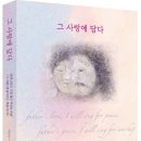 한국NCD미디어
