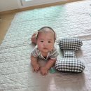[사파동] 나를빵순이로 만드는집 사파동 서씨양과 + 소소한 화이자백신 후기