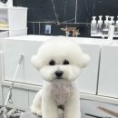 우프루프 이미지