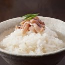 시오카라 황금레시피 맛있게 만드는 법