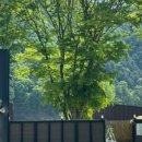 어부바펜션 이미지