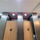 만남의광장 공중화장실 이미지