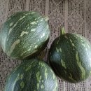 동근농장 이미지