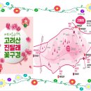 4월 6일(토) 제8차 정기산행 강화 고려산(진달래 축제 산행) &#34;좌석방&#34; 이미지