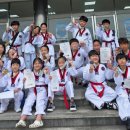 내체력 태권도장 이미지