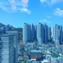 꿈에블리스나인 이미지