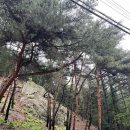 미륵전자 | [충북 충주] 계곡 옆에 붙어있는 수안보 숙소 '이모네민박' 숙박 후기