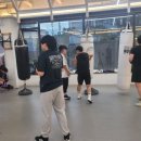 복싱그자체 이미지