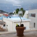 연화카페 이미지