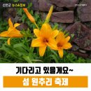 5월29일(토)~30일(일) 홍도 흑산도(1박2일)여행(흑산도일주투어/홍도33경 해상관광)산들투어 이미지