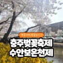 수안보면 오산2길 2, (온천리) | 충주 벚꽃축제 실시간 만개후기 충주벚꽃명소와 충주벚꽃카페 추천