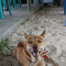 바다노을 이미지