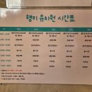 행복하개키울고양 이미지