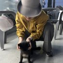 해적쭈꾸미