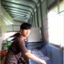 창식농장 이미지