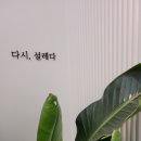 다시설레다 이미지