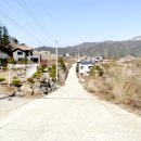 서종약국 네이버블로그