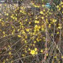 재매정길 이미지