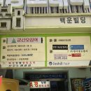 산본역 네일 :: &#39;네일플로레오&#39; 산본네일샵 베이지 봄네일 후기🌻